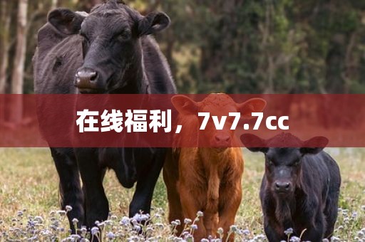 在线福利，7v7.7cc