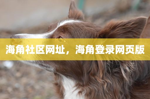 海角社区网址，海角登录网页版