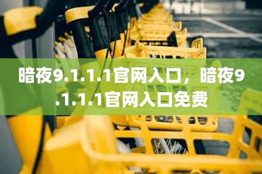 暗夜9.1.1.1官网入口，暗夜9.1.1.1官网入口免费