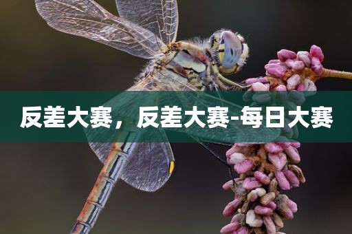 反差大赛，反差大赛-每日大赛