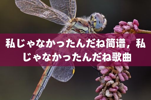 私じゃなかったんだね简谱，私じゃなかったんだね歌曲