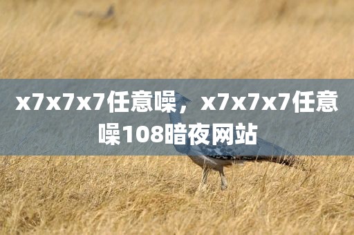 x7x7x7任意噪，x7x7x7任意噪108暗夜网站