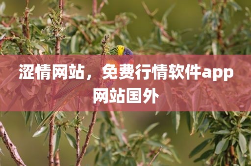 涩情网站，免费行情软件app网站国外