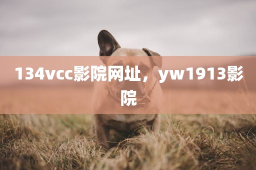 134vcc影院网址，yw1913影院