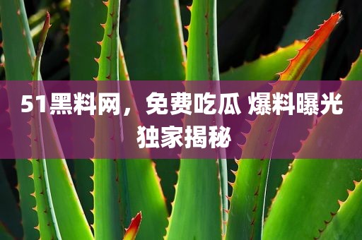 51黑料网，免费吃瓜 爆料曝光 独家揭秘