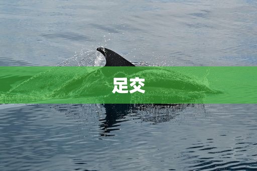 足交