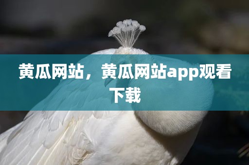 黄瓜网站，黄瓜网站app观看下载