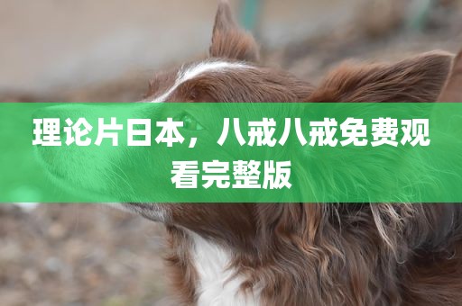 理论片日本，八戒八戒免费观看完整版