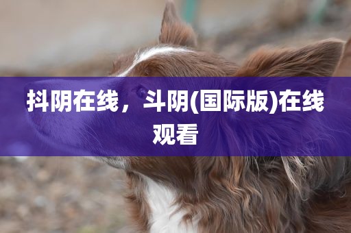 抖阴在线，斗阴(国际版)在线观看