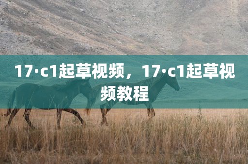 17·c1起草视频，17·c1起草视频教程