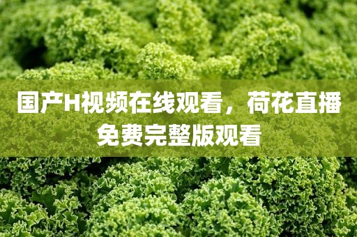 国产H视频在线观看，荷花直播免费完整版观看