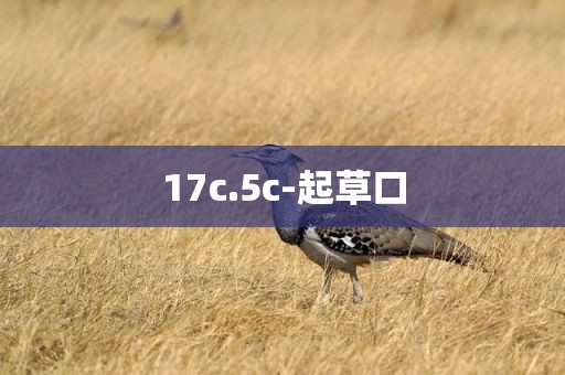 17c.5c-起草口