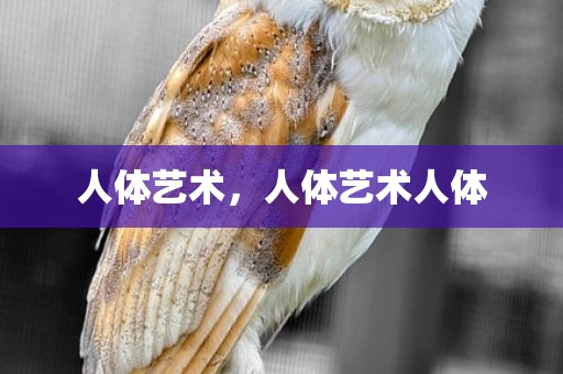 人体艺术，人体艺术人体