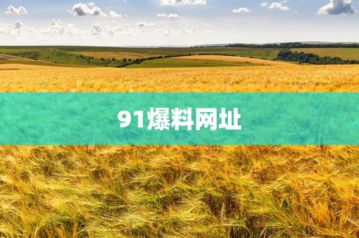 91爆料网址