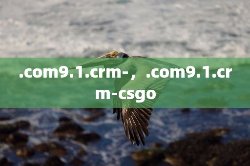 .com9.1.crm-，.com9.1.crm-csgo