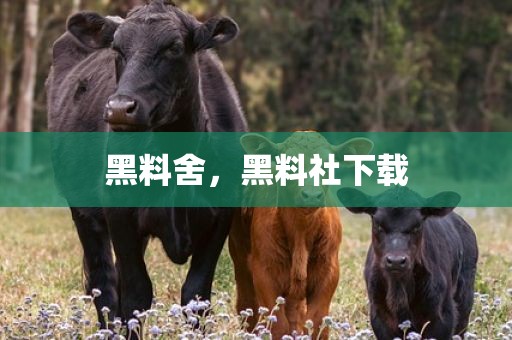 黑料舍，黑料社下载