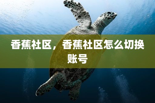 香蕉社区，香蕉社区怎么切换账号
