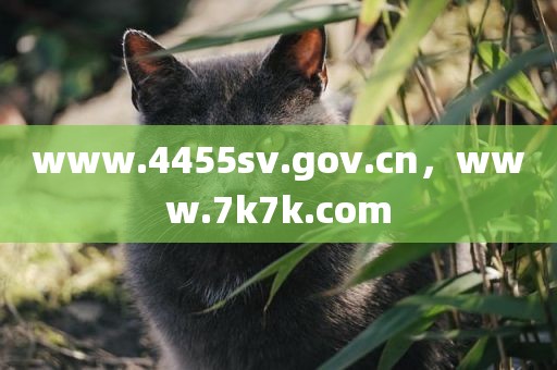 www.4455sv.gov.cn，www.7k7k.com