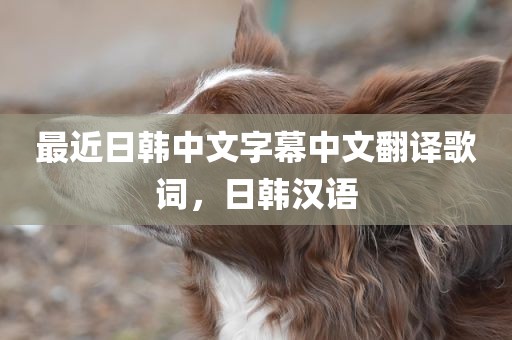最近日韩中文字幕中文翻译歌词，日韩汉语