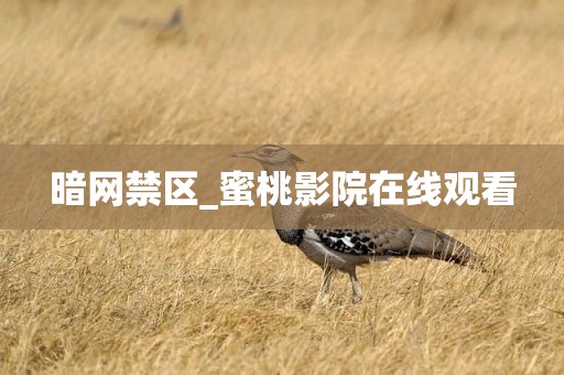 暗网禁区_蜜桃影院在线观看