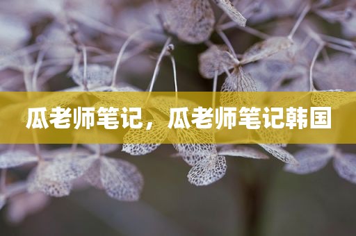 瓜老师笔记，瓜老师笔记韩国