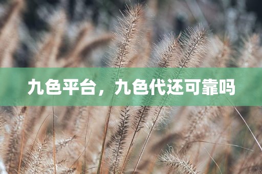 九色平台，九色代还可靠吗