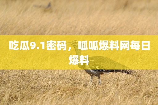 吃瓜9.1密码，呱呱爆料网每日爆料