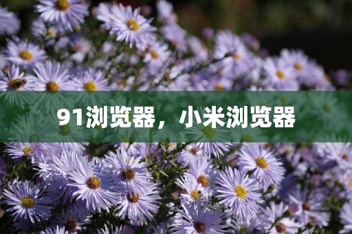 91浏览器，小米浏览器