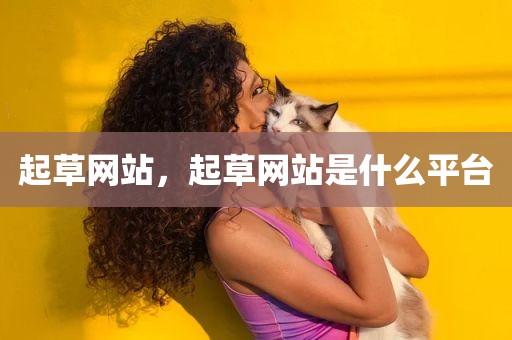 起草网站，起草网站是什么平台