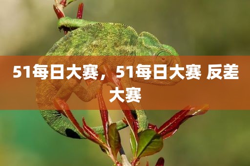 51每日大赛，51每日大赛 反差大赛