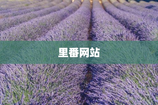 里番网站