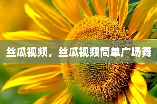 丝瓜视频，丝瓜视频简单广场舞