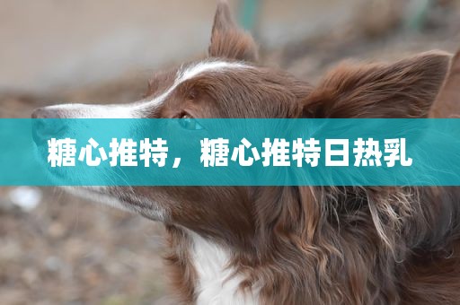 糖心推特，糖心推特日热乳