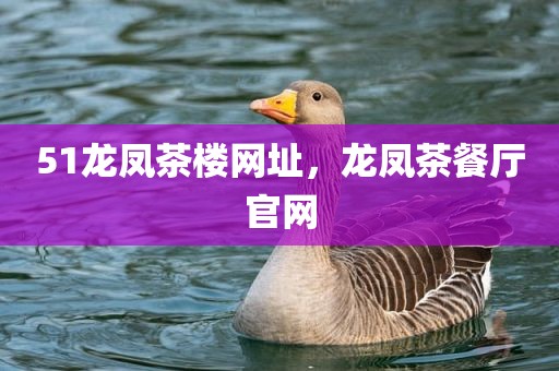 51龙凤茶楼网址，龙凤茶餐厅官网