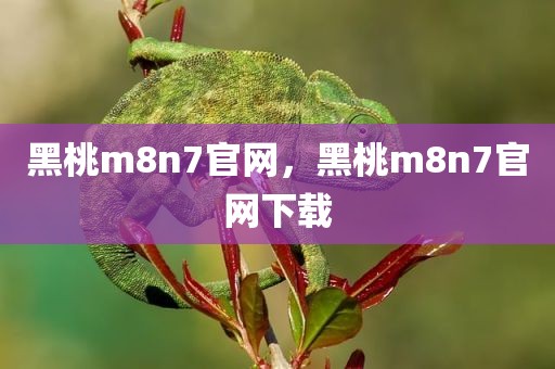 黑桃m8n7官网，黑桃m8n7官网下载