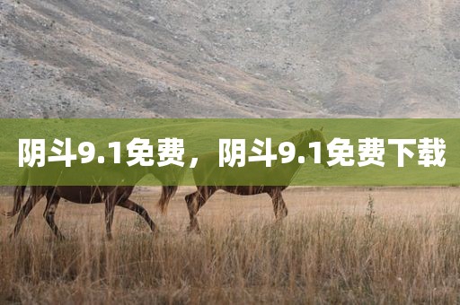 阴斗9.1免费，阴斗9.1免费下载