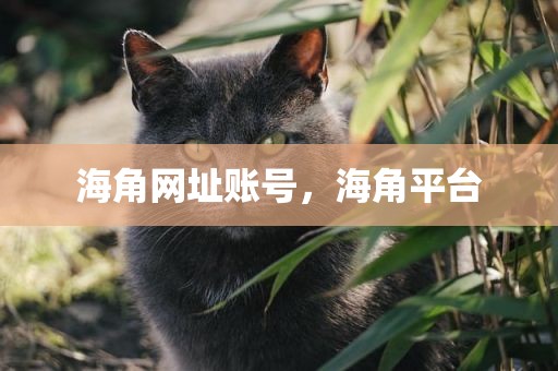 海角网址账号，海角平台