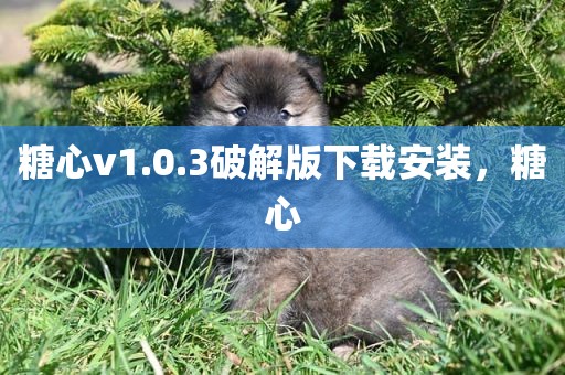 糖心v1.0.3破解版下载安装，糖心