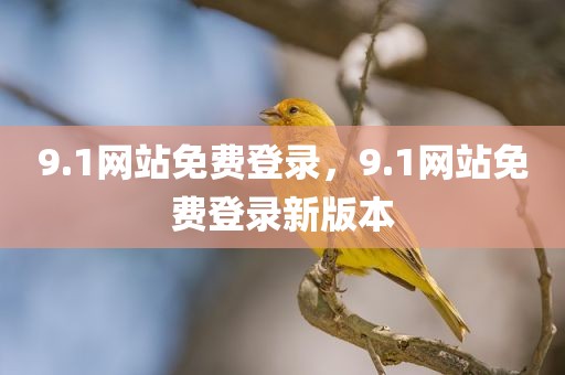 9.1网站免费登录，9.1网站免费登录新版本