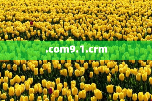 .com9.1.crm