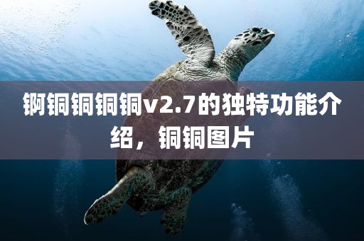 锕铜铜铜铜v2.7的独特功能介绍，铜铜图片