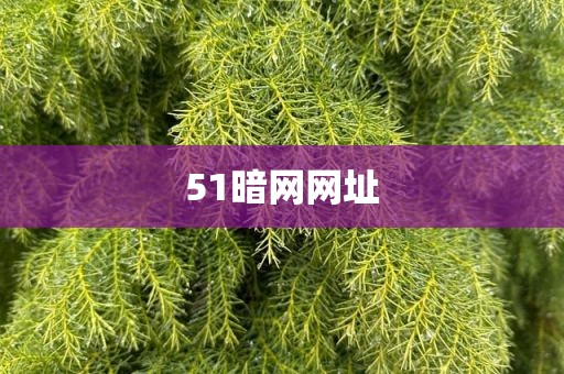 51暗网网址