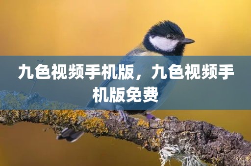 九色视频手机版，九色视频手机版免费
