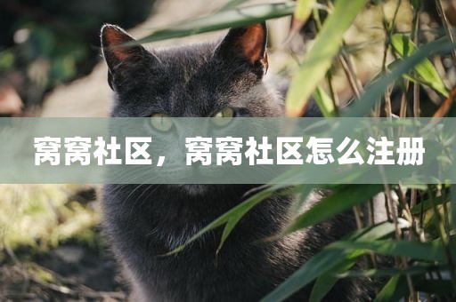 窝窝社区，窝窝社区怎么注册
