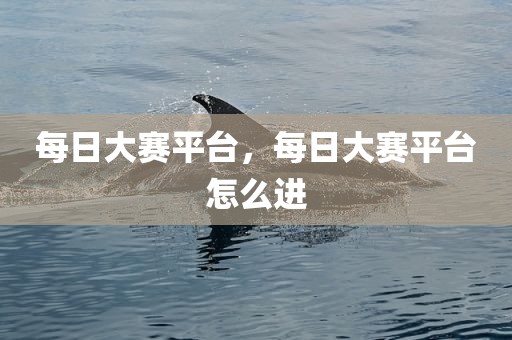 每日大赛平台，每日大赛平台怎么进