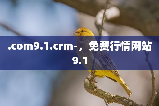 .com9.1.crm-，免费行情网站9.1