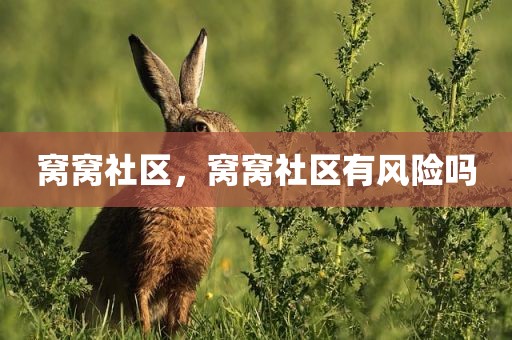窝窝社区，窝窝社区有风险吗