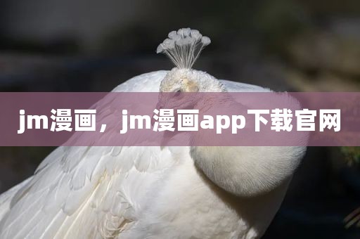 jm漫画，jm漫画app下载官网