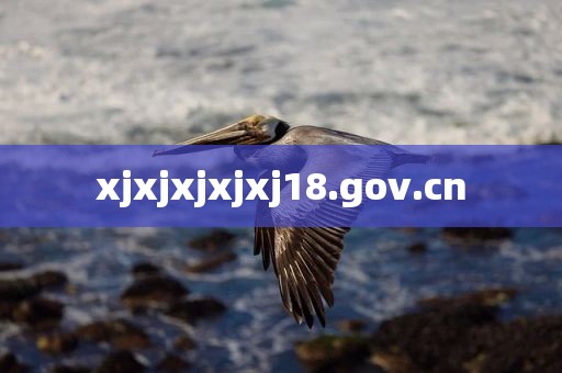 xjxjxjxjxj18.gov.cn