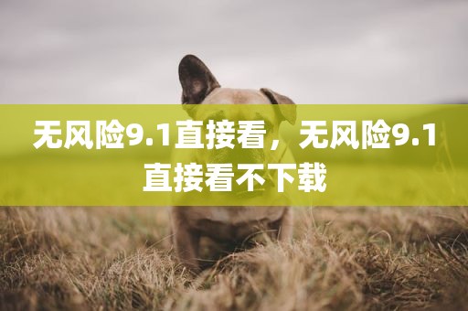 无风险9.1直接看，无风险9.1直接看不下载